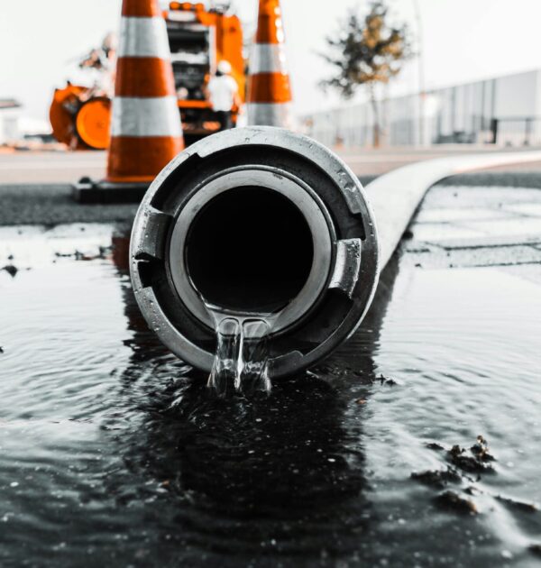 daan-mooij-91LGCVN5SAI-unsplash